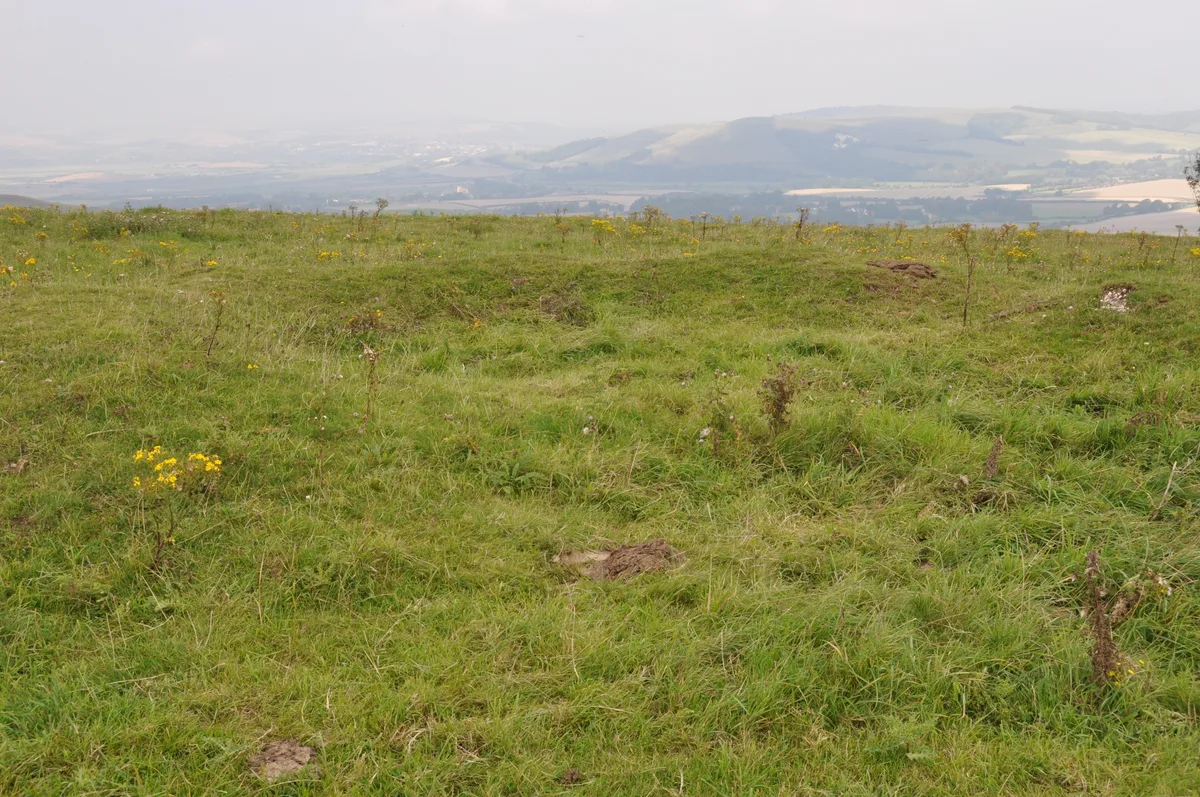 A saucer barrow, a bowl barrow and a pair of hlaews 350m north west of Overhill Lodge