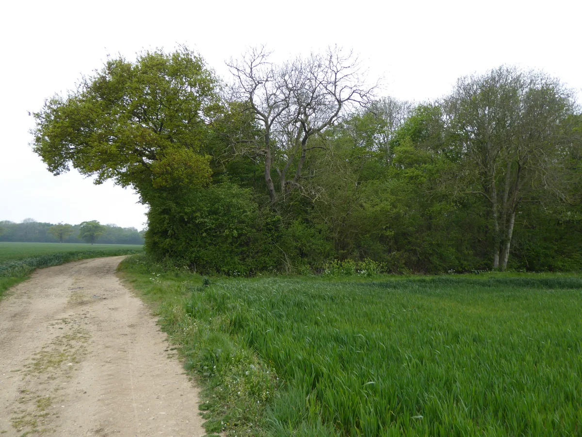 Abbey Wood, Flixton