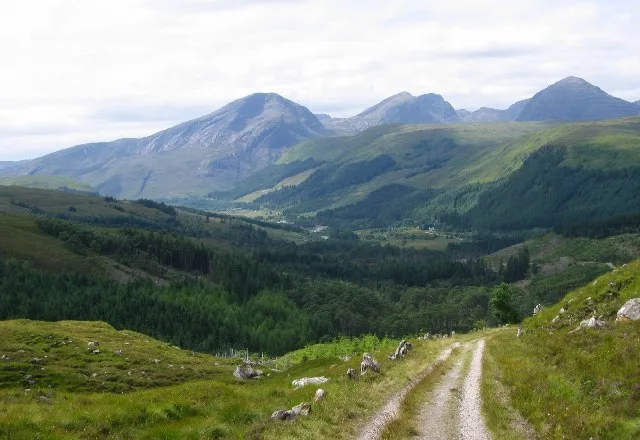 Achnashellach Forest