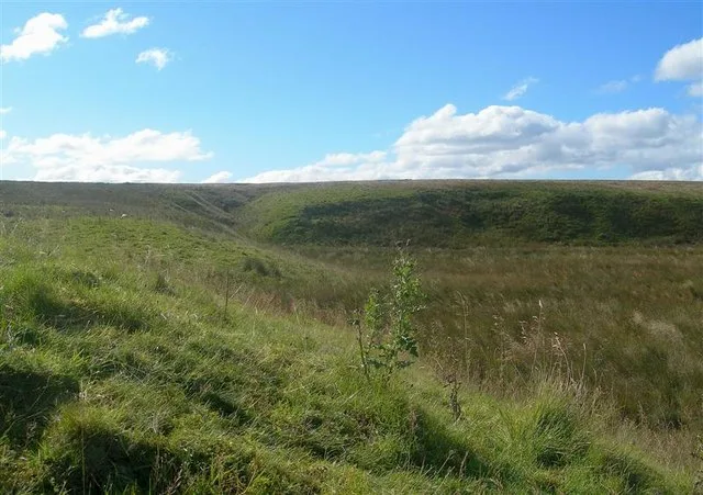Airds Moss RSPB Reserve