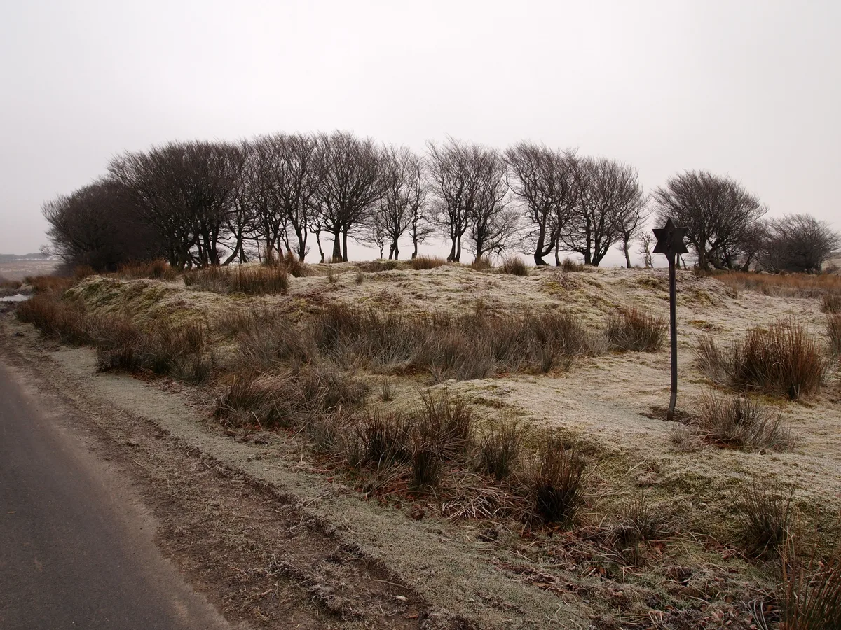 Alderman's Barrow at N of Almsworthy Common