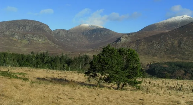 Annalong Forest