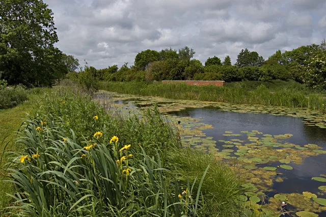 Aqueduct At Sandholme Farm