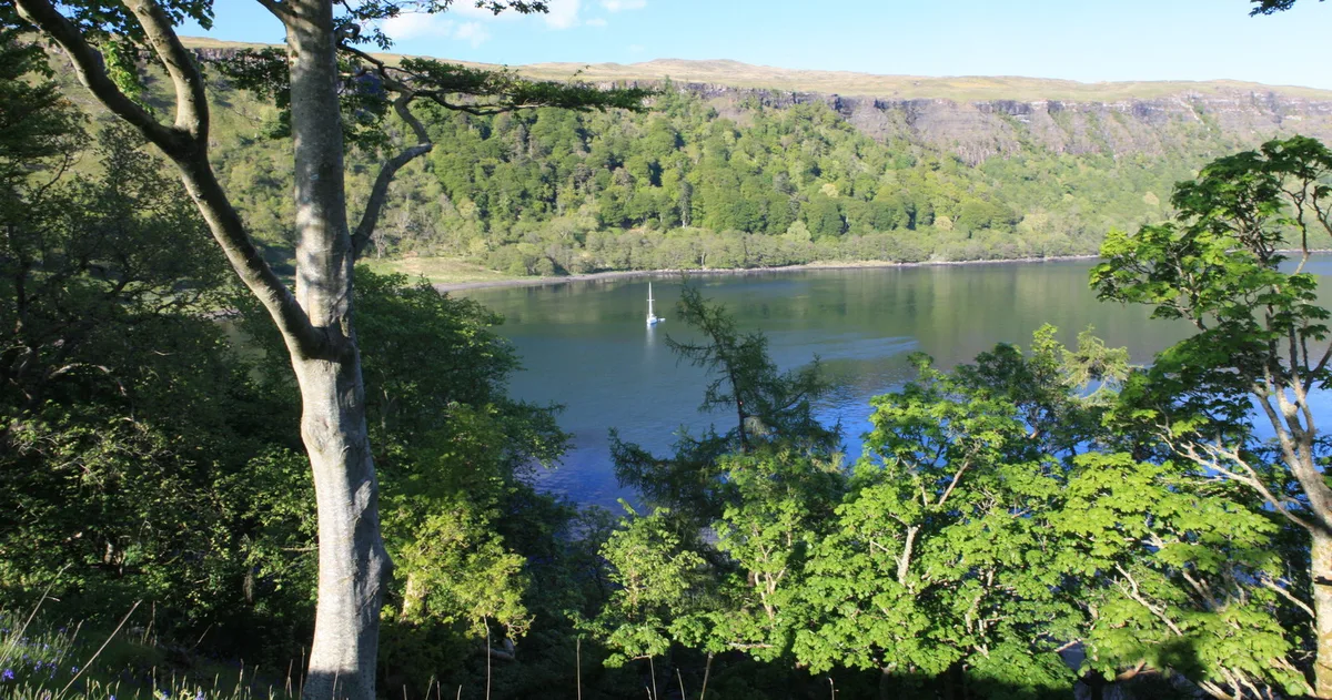 Ardtornish Bay
