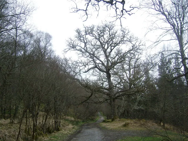 Ariundle Oakwood National Nature Reserve