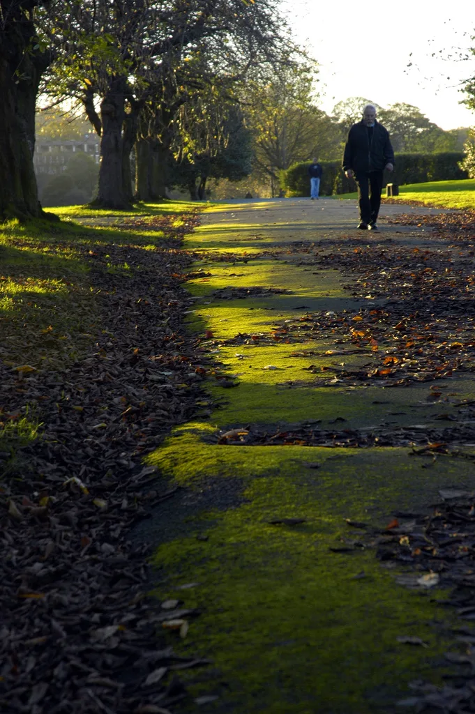 Armley Park