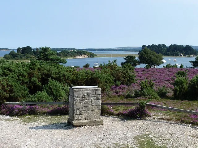 Arne RSPB reserve