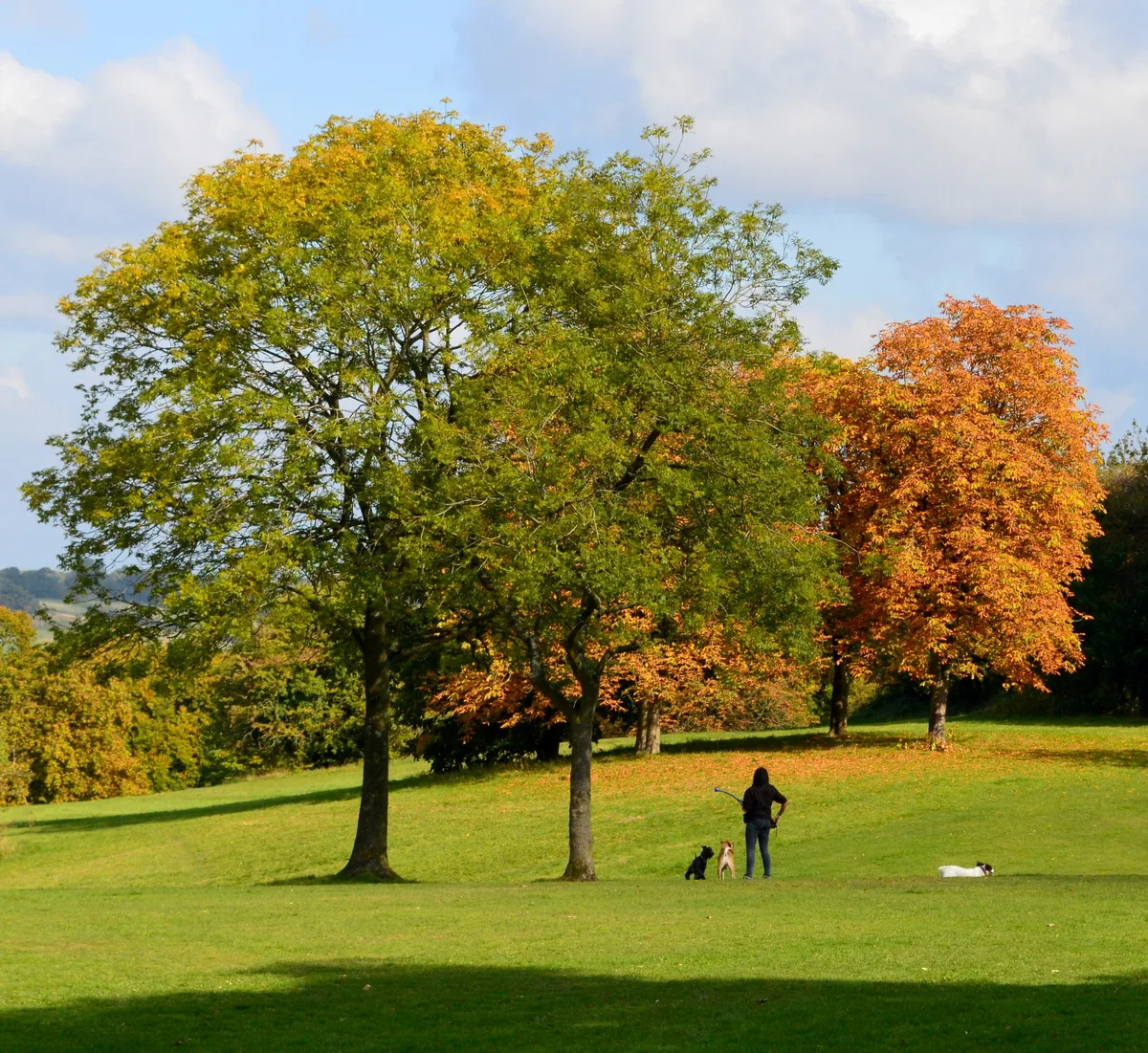 Arthur Newbery Park
