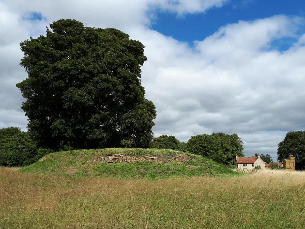 Asthall Barrow: an Anglo-Saxon burial mound 100m SSW of Barrow Farm