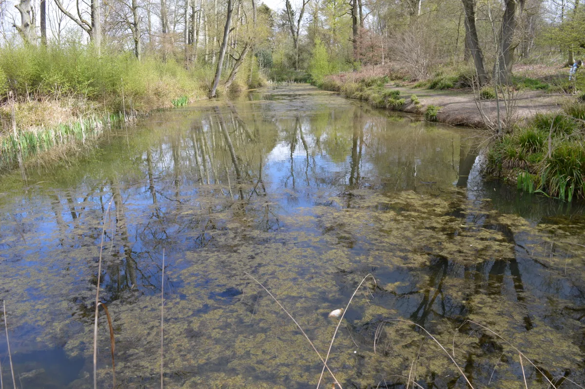 Aubrey Buxton Nature Reserve