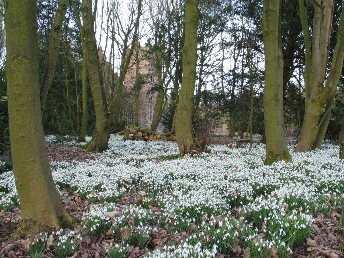 Bank Hall Gardens