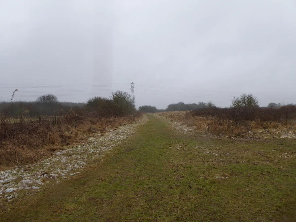 Barford Wood and Meadows