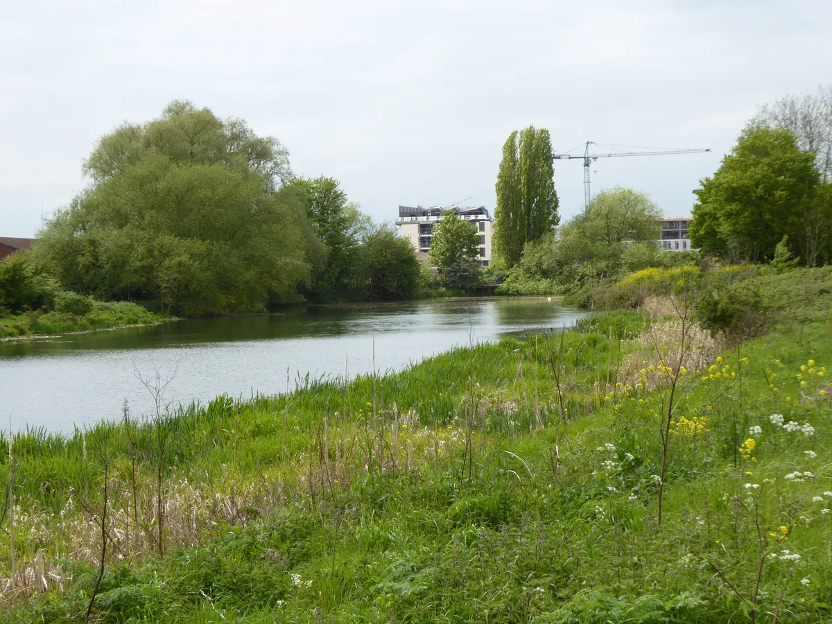 Barnes Meadow