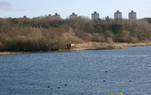 Baron's Haugh RSPB Reserve
