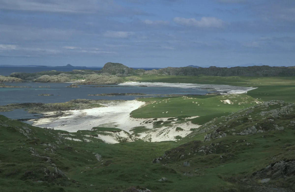 Bay at the Back of the Ocean