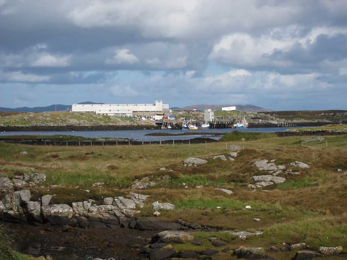 Bay Hirivagh