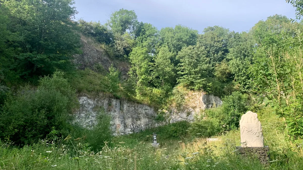 Belshaw's Quarry Nature Reserve