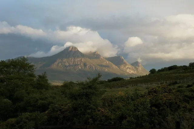 Ben Loyal
