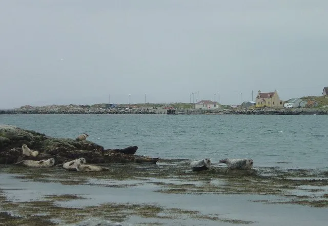 Berneray
