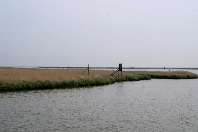 Berney Marshes RSPB reserve