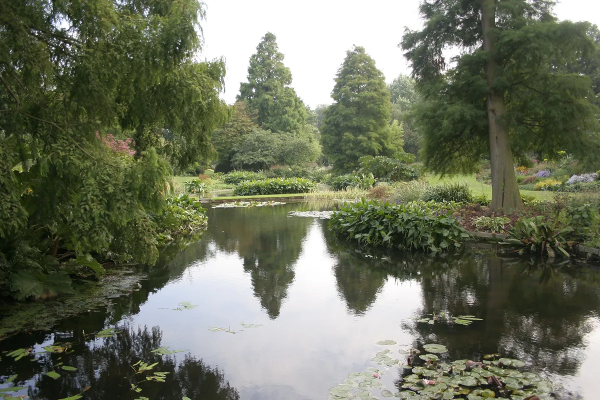 Beth Chatto Gardens