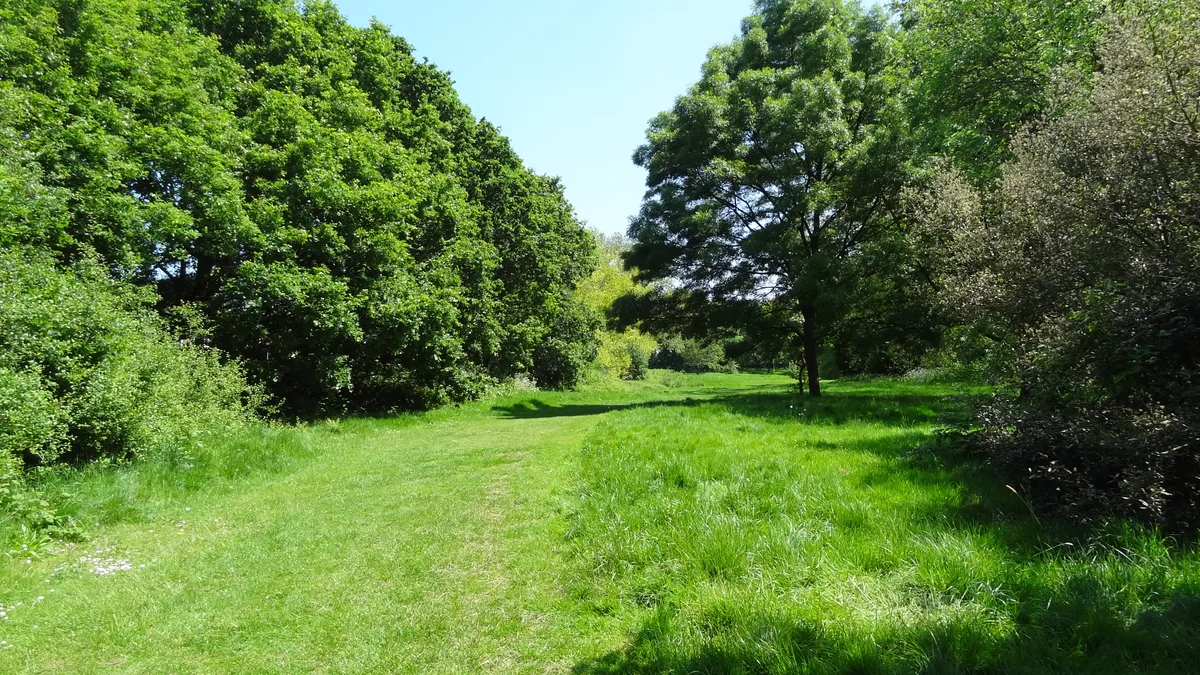 Bethune Park
