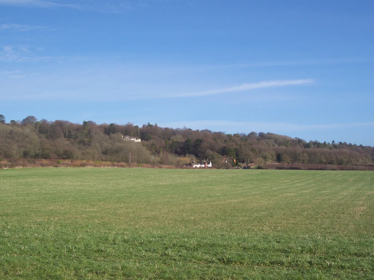 Betsom's Hill