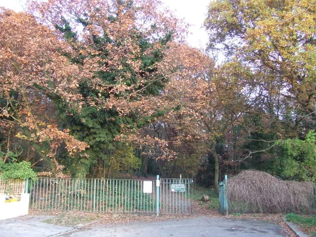 Biggin Wood