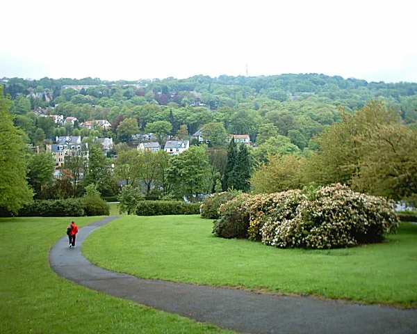 Bingham Park and Whiteley Woods