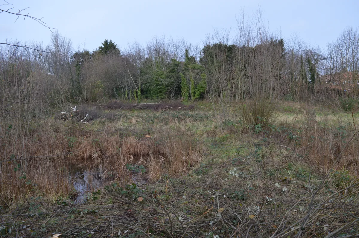 Birdbrook Road Nature Reserve