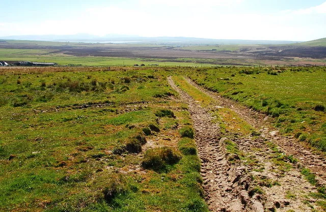 Birsay moors RSPB Reserve