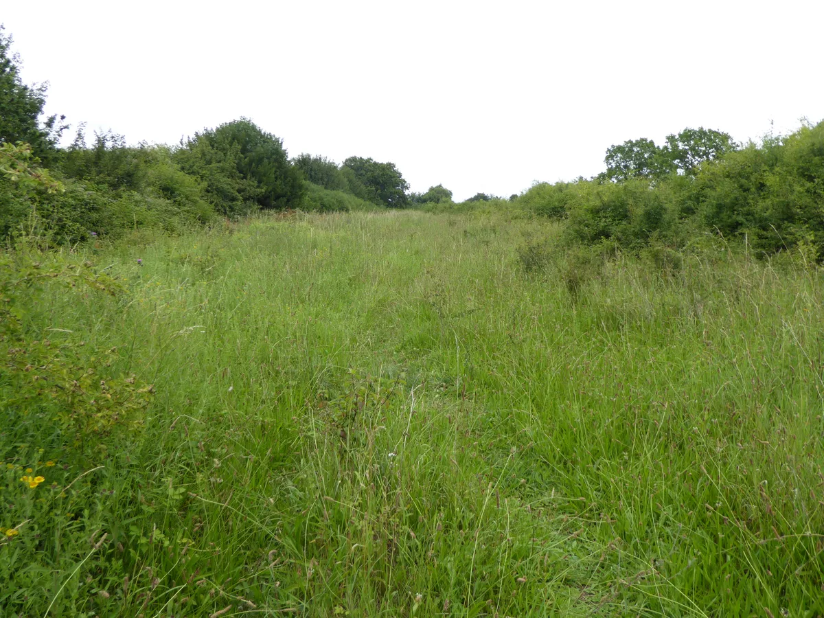 Black Bourn Valley