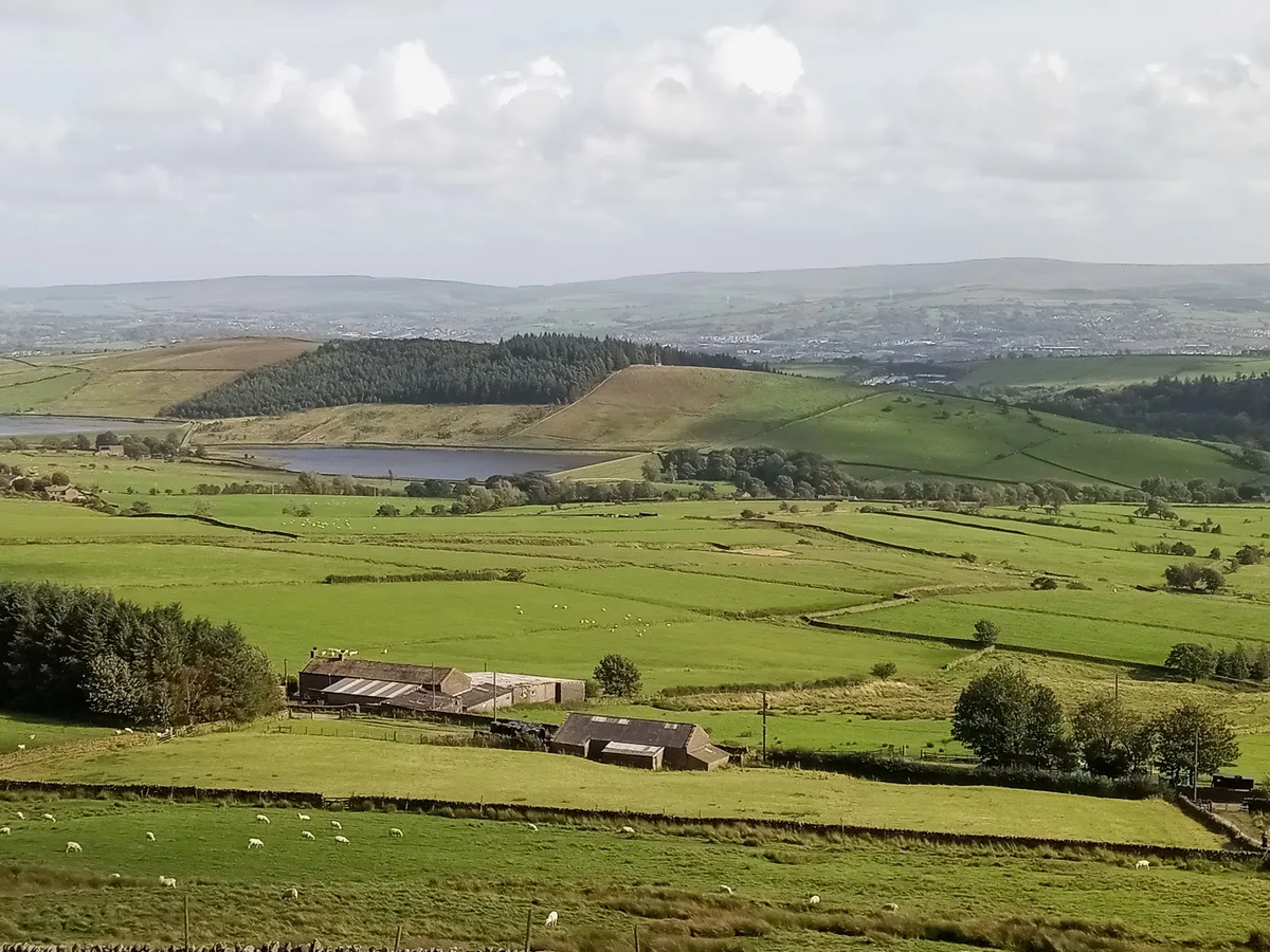 Black Moss Reservoirs