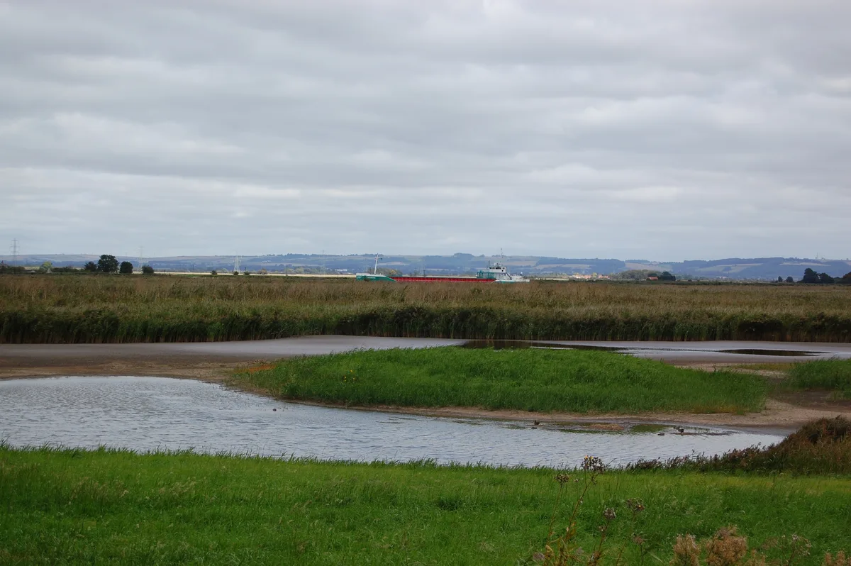 Blacktoft Sands RSPB reserve