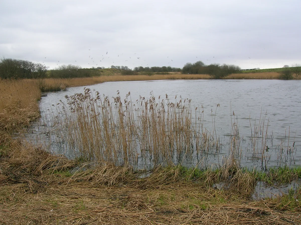 Blae Loch