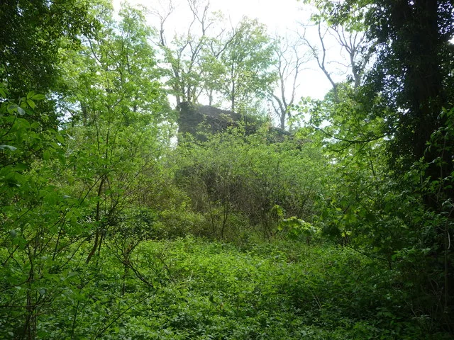 Blaenllyfni Castle