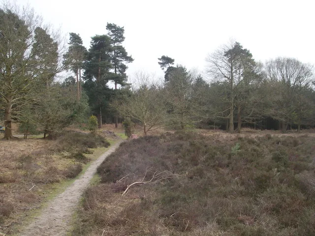 Blaxhall Common