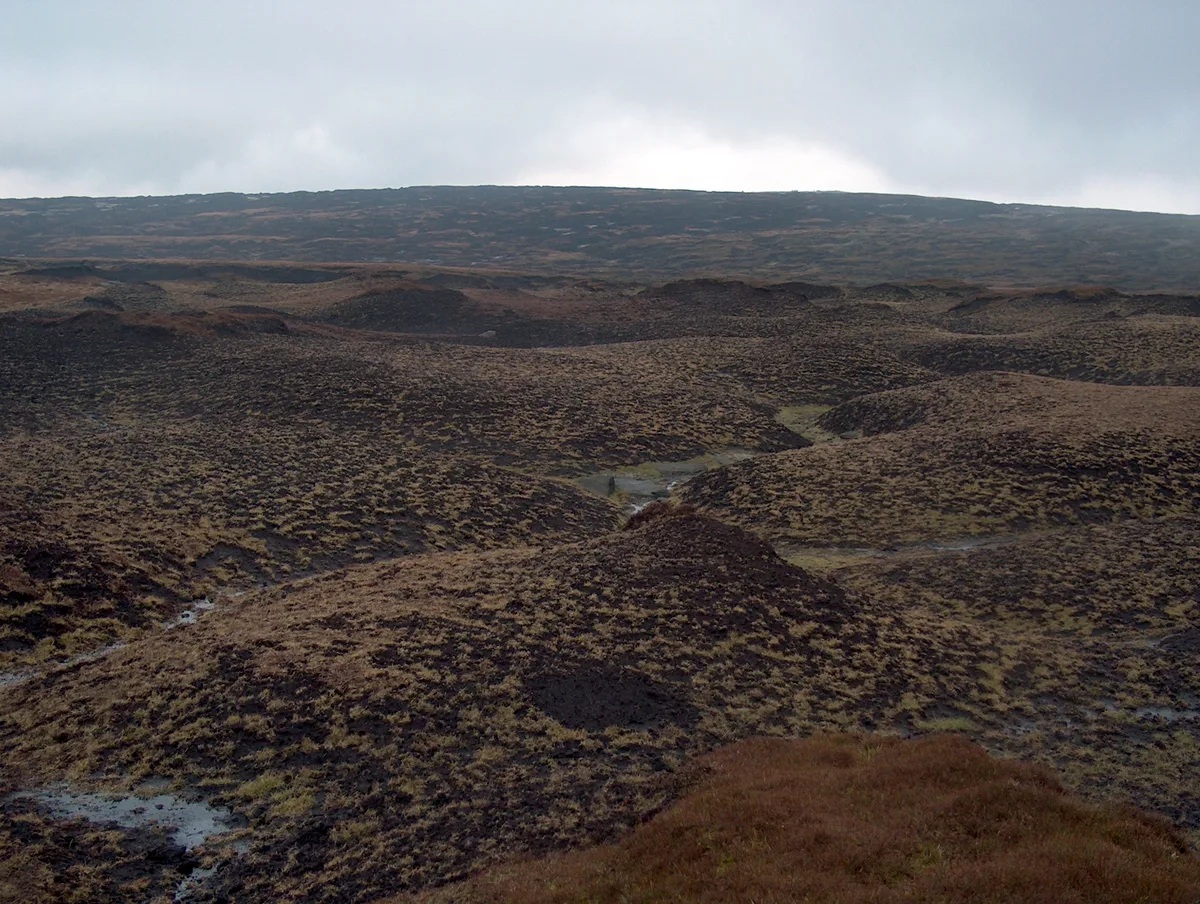 Bleaklow
