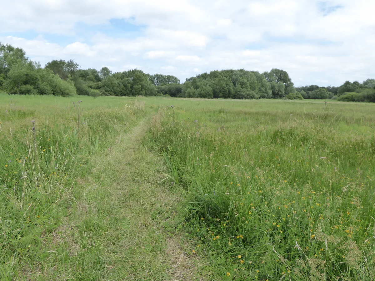 Blo' Norton and Thelnetham Fen