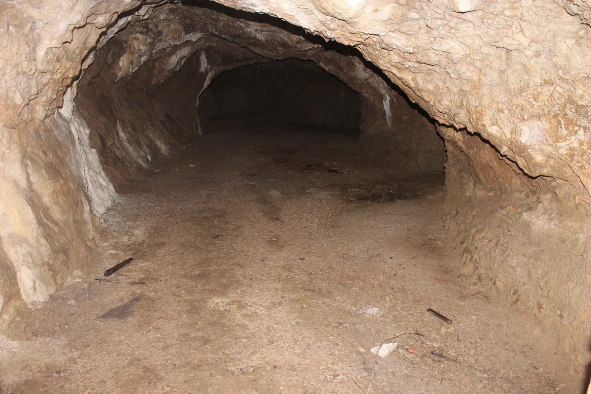 Bontnewydd Palaeolithic site