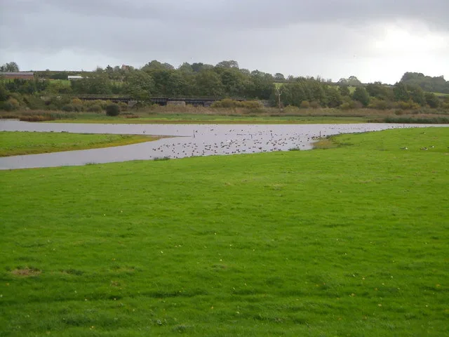 Bowling Green Marsh RSPB reserve