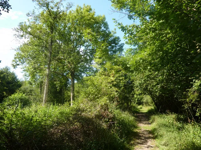 Bradfield Woods
