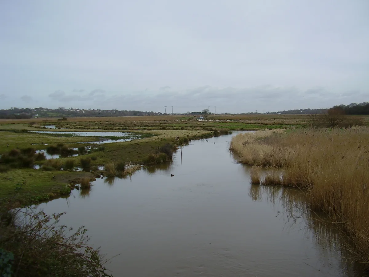 Brading Marshes RSPB reserve