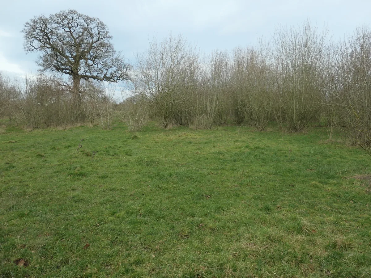 Brankley Pastures