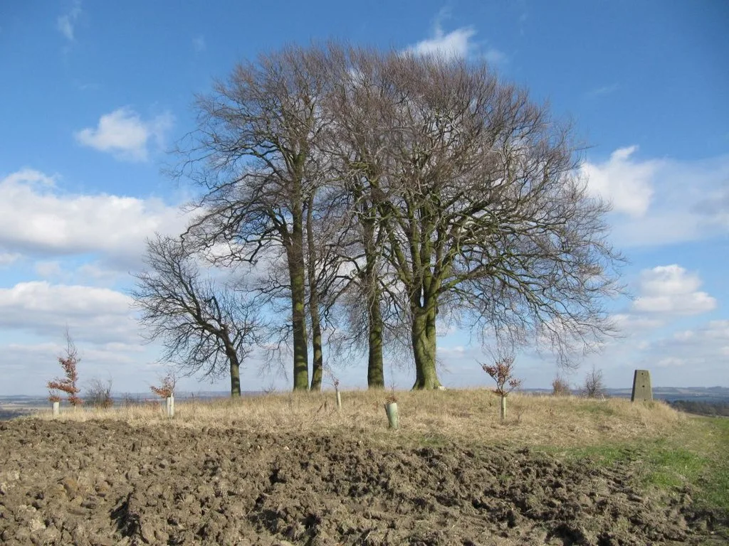 Brightwell Barrow