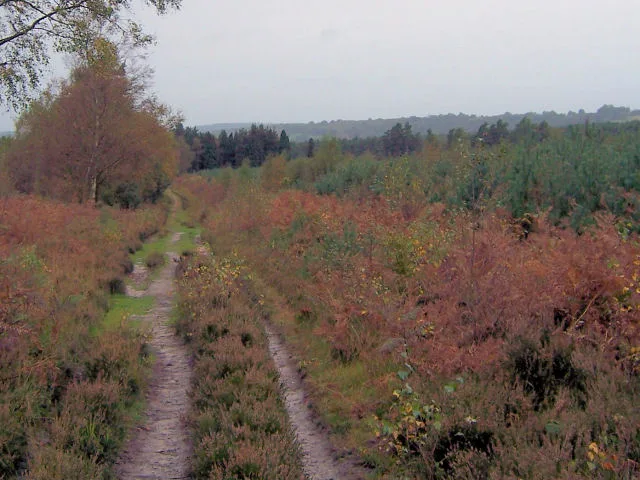 Broadwater Warren RSPB Reserve
