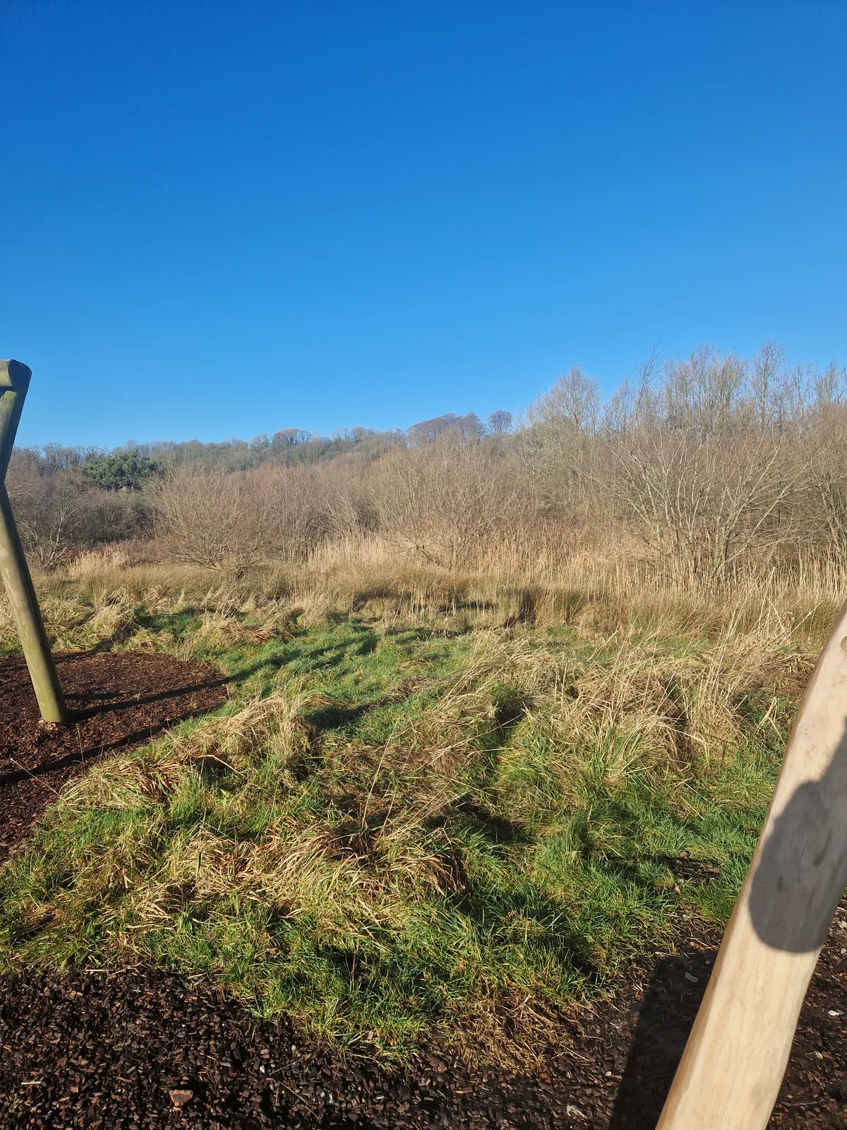 Brockholes