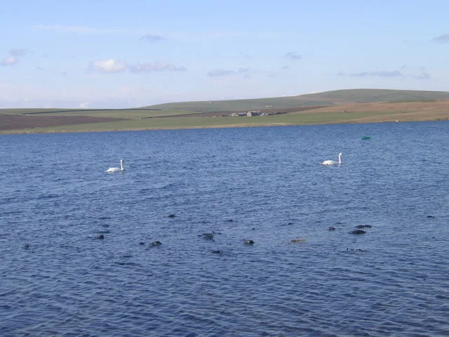 Brodgar RSPB Reserve