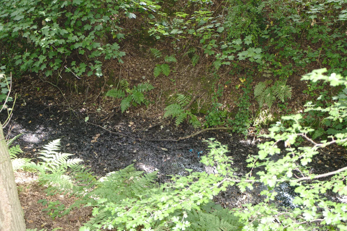 Bromborough Moat