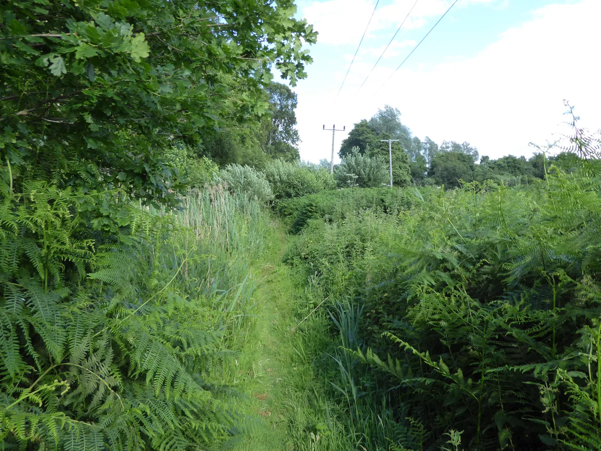 Bromeswell Green